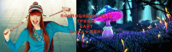 apvp Алексеевка
